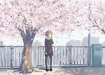  black_legwear black_skirt blonde_hair blue_eyes cherry_blossoms looking_away original pantyhose railing school_uniform short_hair skirt solo tree wu_ba_pin 