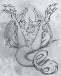  2017 anthro bat_wings breasts claws dragon female flinters fur hair hybrid kangaroo lying mammal marsupial membranous_wings nude on_back pussy solo spread_legs spreading toe_claws wings 