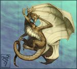  2008 ambiguous_gender blue_eyes claws dragon feral looking_at_viewer membranous_wings pink_tongue scalie shinerai solo tongue western_dragon wings 