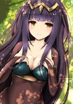  absurdres black_hair blush breasts circlet cleavage covered_navel dutch_angle eyebrows_visible_through_hair fire_emblem fire_emblem:_kakusei fire_emblem_heroes hands_on_own_chest highres large_breasts long_hair looking_at_viewer md5_mismatch see-through sidelocks skin_tight smile solo sparkle tayashitsu tharja tree tree_shade upper_body yellow_eyes 