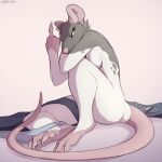 after_transformation anthro breasts claws female fur gesture grey_body grey_fur hairless_tail lizet mammal middle_finger multicolored_body multicolored_fur murid murine nude rat rodent simple_background sitting solo two_tone_body two_tone_fur upset whiskers white_body white_fur