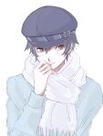  1girl black_eyes black_hair black_headwear blue_sweater blush closed_mouth hat highres looking_at_viewer persona persona_4 scarf shirogane_naoto simple_background solo sweater upper_body usa_(kawaii_152cm) white_background white_scarf 
