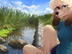 4:3 anthro blue_bottomwear blue_clothing blue_eyes blue_shorts blue_sky blue_topwear bottomwear canid clothed clothing cloud corzh77 day eyewear female floppy_ears fur glasses grass hair hi_res looking_at_viewer mammal mouth_closed outside plant rock shorts sitting sky solo tan_body tan_fur tan_hair topwear water wearing_glasses