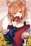  animal_ear_fluff animal_ears apple bangs fang food fox_ears fox_tail fruit head_tilt long_sleeves looking_at_viewer open_mouth orange_eyes orange_hair original red_sweater shugao solo sweater tail tank_top upper_body 