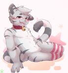 2024 4_fingers anthro bell bell_collar biceps biped black_claws blush claws clothing collar featureless_crotch felid fingers fur grey_body grey_fur hi_res kemono legwear male mammal pantherine red_eyes sitting_on_side slim_anthro slim_male thigh_highs tiger tyromearts