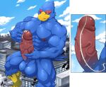 absurd_res avian balls beak bird blue_body blush bodily_fluids building city cock_vore cum erection falco_lombardi genital_fluids genitals hi_res internal macro maldu male masturbation muscular muscular_male nintendo penile penis precum sitting solo star_fox urethra vore