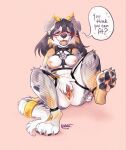 anthro australian_shepherd blush breasts canid canine canis dialogue domestic_dog female fishnet genitals harness herding_dog hi_res horn mammal pastoral_dog pawpads pussy sheepdog solo spreading