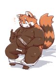 2024 ailurid anthro balls black_body blush clothed clothing erection futaba_kotobuki genitals kemono male mammal orange_body overweight overweight_male partially_clothed penis red_panda ruler simple_background small_penis solo takagi_kyou trouble_(series) underwear underwear_down