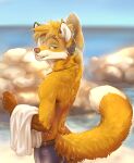 absurd_res anthro arm_over_head arm_tuft blurred_background boxers_(clothing) boxers_only bracelet brown_arms brown_body brown_fur canid canine clothed clothing dipstick_arms dipstick_ears dipstick_tail doppelfoxx dripping fox fur fur_tuft hi_res jakkals_van_der_bergh_(doppelfoxx) jewelry koul looking_at_viewer male mammal markings multicolored_ears neck_tuft necklace orange_body orange_eyes orange_fur rock sea seaside shoulder_tuft smile smirk solo swimming_trunks swimwear tail tail_markings topless towel tuft underwear underwear_only water wet wet_body wet_fur wet_tail whiskers