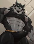 abs anatake anthro bulge canid canine canis clothing detailed_bulge genital_outline hi_res low-angle_view male mammal muscular muscular_anthro muscular_male nipples pec_pov_meme pecs penis_outline shirt solo speedo swimwear tank_top topwear wolf