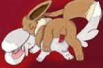  chillarmy eevee nintendo pokemon tagme 