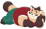  2024 anthro black_nose bottomwear brown_body canid canine clothing humanoid_hands kemono male mammal meg_hoi overweight overweight_male pants raccoon_dog shirt simple_background solo tanuki topwear white_background 