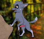  animal_genitalia animal_penis balls canine canine_penis chipper_(artist) cub cum dog feral male mammal mixed_breed paw_patrol paws penis precum rocky_(paw_patrol) sheath solo young 