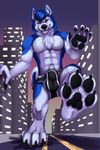  2017 4_toes 5_fingers abs anthro barefoot biped black_bottomwear black_claws black_clothing black_nose black_pawpads black_underwear blue_eyes blue_fur blue_hair blue_tail briefs building bulge canine chest_tuft city claws clothed clothing detailed_background digital_media_(artwork) dog eyebrows fangs front_view full-length_portrait fur hair hi_res husky jhusky kadohusky looking_at_viewer macro male mammal multicolored_fur multicolored_tail muscular muscular_male outside pawpads paws pecs portrait short_hair sky smile solo street toe_claws toes topless tuft two_tone_fur two_tone_tail underwear walking white_fur white_tail 