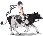  black_hair cow cow_bell cow_costume cow_print cowboy_hat high_school_dxd himejima_akeno leggings ponytail purple_eyes reins riding saddle western 