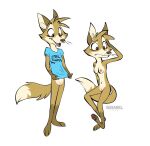  anthro bottomless breasts canid canine clothed clothing domestic female fox genitals mammal pussy serareldeer solo tail topwear topwear_only 