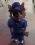  2024 absurd_res anthro biped black_eyes blep blue_cap blue_clothing blue_shirt blue_topwear brown_body brown_fur canid canine canis clothing fur hi_res kyle_(the_werecleaner) looking_away male mammal shirt slim_anthro slim_male solo standing the_werecleaner tongue tongue_out topwear wolf zenonsen 