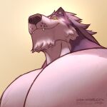  amarox amarox_(character) anthro big_pecs canid canine canine_teeth canis hair hi_res looking_at_viewer looking_down male mammal muscular pecs smile solo wolf yellow_eyes 
