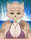  absurd_res anthro beach beta_tata big_breasts bikini bikini_top breasts canid canine choker clothing dipstick_tail ear_piercing facial_markings female food fox green_eyes head_markings hi_res holding_breast jewelry long_tongue mammal markings multi_tail necklace nipple_piercing nipples palm_tree piercing plant popsicle popsicle_in_mouth solo swimwear tail tail_markings tongue translucent translucent_clothing tree vyn_(vyncoris) 