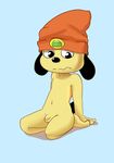  anthro balls canine cub dog flaccid hat male mammal parappa parappa_the_rapper penis solo video_games young z0rgy 