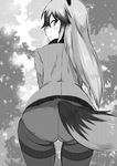  animal_ears ass backlighting blush closed_mouth commentary_request cowboy_shot crotch_seam fox_ears fox_tail from_behind greyscale hair_between_eyes highres kemono_friends leaning_forward light_frown long_sleeves looking_back monochrome no_pants panties panties_under_pantyhose pantyhose profile saku_(saku1151) shirt silver_fox_(kemono_friends) standing tail thighband_pantyhose tsurime underwear 