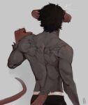  2024 anthro athletic athletic_anthro athletic_male back_muscles biped black_hair ear_piercing ear_ring hair hi_res male mammal mouse murid murine piercing ring_piercing rodent sgguzz solo standing tattoo 