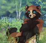 anthro black_fur black_nose blue_eyes blurred_background breasts brown_fur chest_tuft day detailed_background featureless_breasts female fur grass looking_at_viewer mammal navel outside raccoon ritka smile tuft whiskers 
