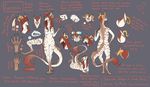  4_toes anthro blue_eyes breasts digitigrade dragon eastern_dragon faellin flesh_whiskers hair horn long_neck long_tongue model_sheet nude pawpads red_hair solo stripes toes tongue wide_hips 