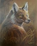  2017 black_nose canine feral fox fur grass mammal orange_fur rhyu solo traditional_media_(artwork) 