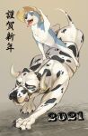  2021 akita_inu animal animal_costume animal_focus bridle commentary_request cow_costume cow_horns cowboy_hat dog fake_horns ginga_(franchise) ginga_densetsu_weed hat highres horns hougen_(ginga_densetsu_weed) no_humans riding rodeo rope tongue tongue_out translation_request wavingdog weed_(ginga_densetsu_weed) 
