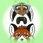  brown_hair canine controller cross_fox duo fox green_eyes hair invader-yan male male/male mammal red_panda simple_background 