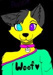  austin austinthewolff black_fur black_hair blur_eye clothing cute fur girly hair heterochromia male purple_eyes yellow_fur 