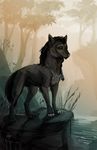  2014 black_fur black_hair canine dog feral forest fur green_eyes grey_nose hair mammal nibinoylin outside paws solo standing tree water 