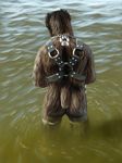  anthro canine dog harness lemurlemurovich male mammal water 