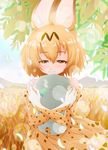  animal_ears bare_shoulders blonde_hair blush brown_eyes closed_mouth day elbow_gloves eyebrows_visible_through_hair gloves grass hair_between_eyes hat hat_feather helmet high-waist_skirt highres kemono_friends lens_flare object_hug outdoors pandemic14 pith_helmet plant savannah serval_(kemono_friends) serval_ears serval_print shirt short_hair skirt sleeveless sleeveless_shirt smile solo white_shirt wind 