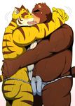  2017 anthro bear bearlovestiger13 biceps brown_fur bulge clothing erection feline frottage fundoshi fur japanese_clothing juuichi_mikazuki kissing male male/male mammal morenatsu muscular muscular_male nipples pecs penis sex sweat tiger torahiko_(morenatsu) underwear 