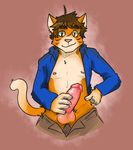  balls big_penis blue_eyes brown_eyes brown_hair cat erection feline fur hair hand_on_hip hotoshuken humanoid_penis mammal nipples open_jacket orange_fur penis scar standing white_fur 