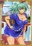  1girl bare_legs breasts card_(medium) curvy dress female green_eyes green_hair ikkitousen large_breasts looking_at_viewer ryofu_housen shiny_skin twintails 