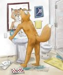  arwing backsack balls bathroom butt canine fox fox_mccloud leafdog male mammal mirror nintendo nude solo star_fox video_games 