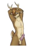  2018 anthro antlers balls cervine digital_media_(artwork) erection fur hair horn humanoid_penis lockworkorange looking_at_viewer male mammal nude penis pose simple_background solo 