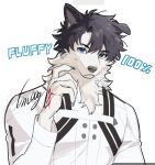  1boy animal_ear_fluff black_hair blue_eyes command_spell dog_boy english_text fate/grand_order fate_(series) frown fujimaru_ritsuka_(male) fujimaru_ritsuka_(male)_(decisive_battle_chaldea_uniform) furry furry_male highres l_m00g long_sleeves looking_at_viewer scratching_cheek short_hair solo striped_clothes sweatdrop upper_body 