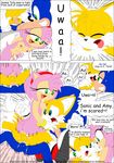  amy_rose furry_bomb gullteerod karate_akabon sonic_team sonic_the_hedgehog tails 