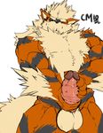  arcanine nintendo pokemon tagme 