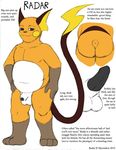  nintendo pokemon raichu tagme 