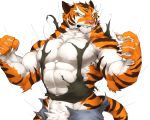  2019 abs anthro biceps captainjohkid claws clothed clothing digital_media_(artwork) felid fur hi_res male mammal muscular muscular_male pantherine pecs rip simple_background solo standing tiger 