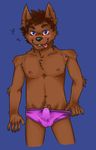  5_fingers anthro blush brown_fur brown_hair bulge canine clothing dog erection fur hair hotoshuken male mammal nipples panties penis_outline precum precum_through_clothing simple_background solo underwear 