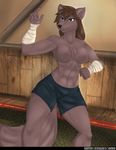  abs anthro breasts brown_fur canine casual_nudity clothing featureless_breasts female fighting_stance front_view fur inner_ear_fluff keidran mammal natani pose skydog twokinds webcomic wolf 
