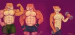  2011 anthro brad_(character) brothers chad_(character) clothed clothing exercise feline mainlion male mammal muscular muscular_male nipples partially_clothed presenting sam_(character) sibling simple_background tiger weightlifting workout 