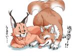  animal animalization bad_id bad_pixiv_id bow bowtie caracal caracal_(kemono_friends) closed_eyes full_body hand_on_another's_face japanese_wolf japanese_wolf_(kemono_friends) kazamatsuri_nagi kemono_friends lying motion_lines no_humans on_stomach red_bow red_neckwear sweatdrop tail_wagging tongue tongue_out top-down_bottom-up translated white_background wolf 