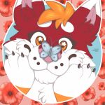 absurd_res anthro arthropod butterfly canid canine canis domestic_dog female flower hi_res husky icon insect lepidopteran mammal naoto nordic_sled_dog plant poppy_(flower) smile solo spitz spring_(season)